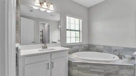 13112 Wellspring Drive Lithia FL 33547