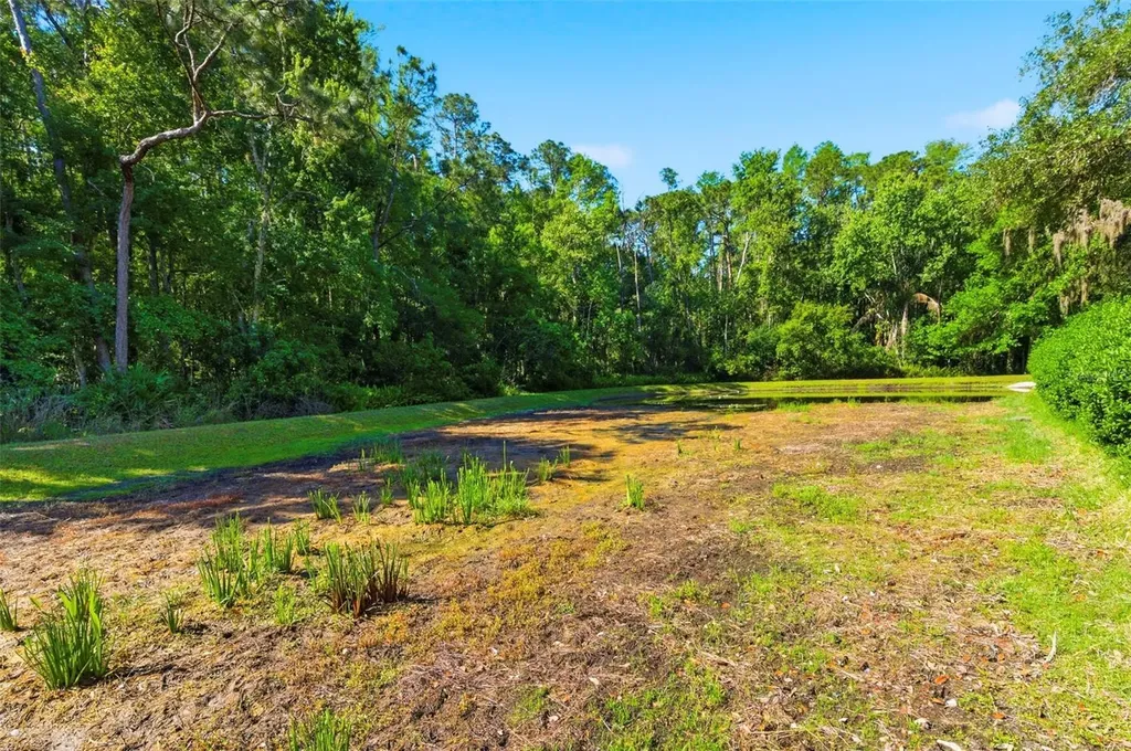 4356 Ellinwood Boulevard Palm Harbor FL 34685