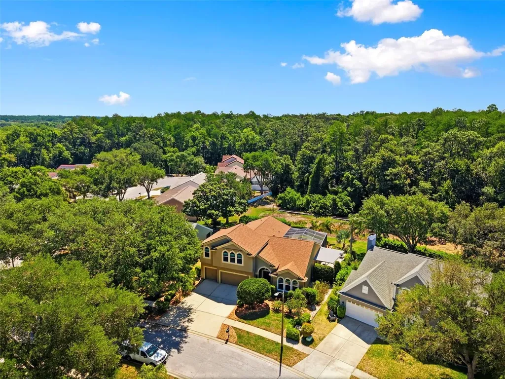 4356 Ellinwood Boulevard Palm Harbor FL 34685