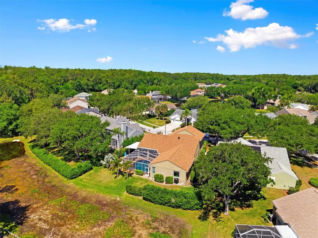 4356 Ellinwood Boulevard Palm Harbor FL 34685