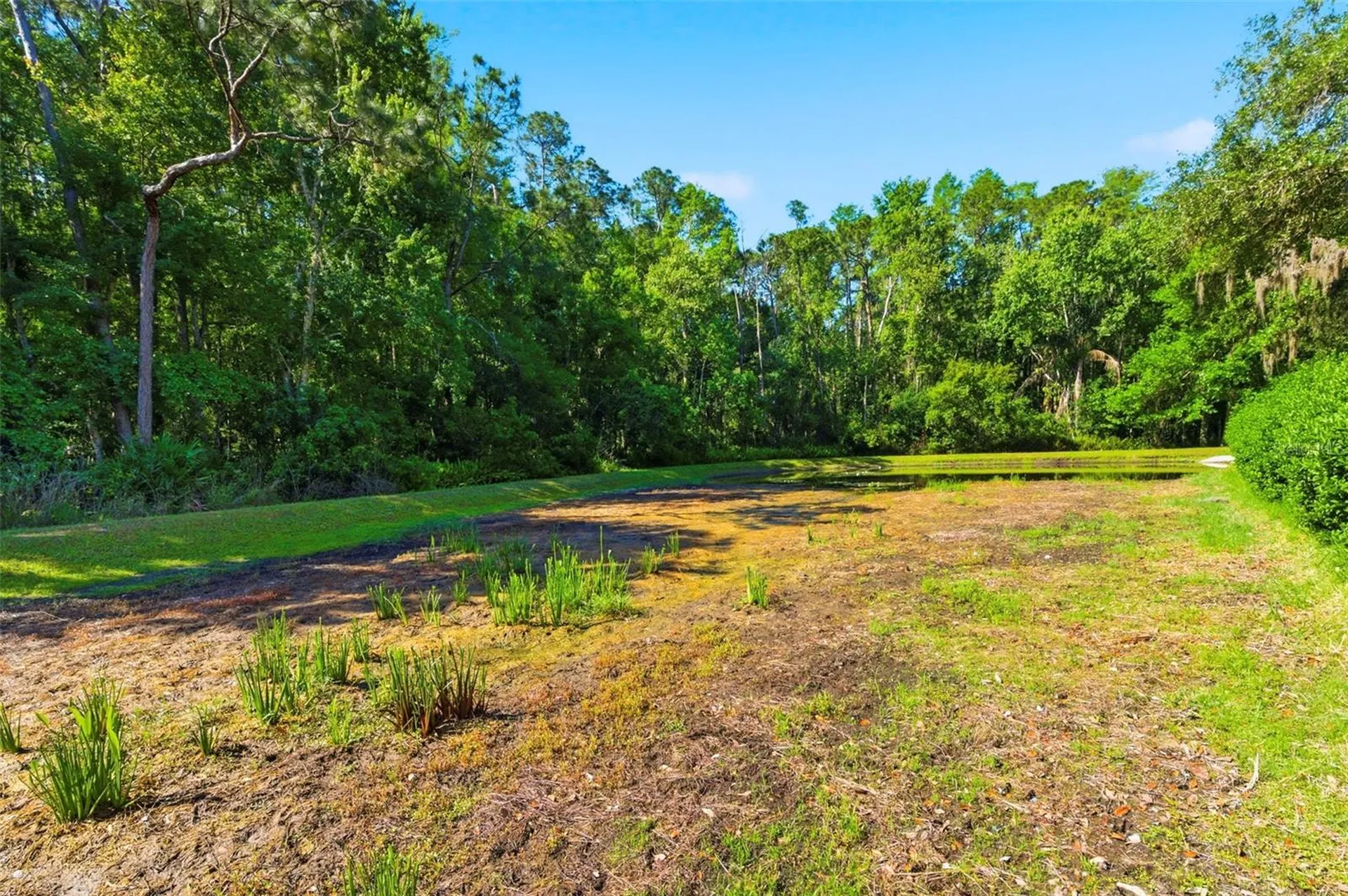 4356 Ellinwood Boulevard Palm Harbor FL 34685