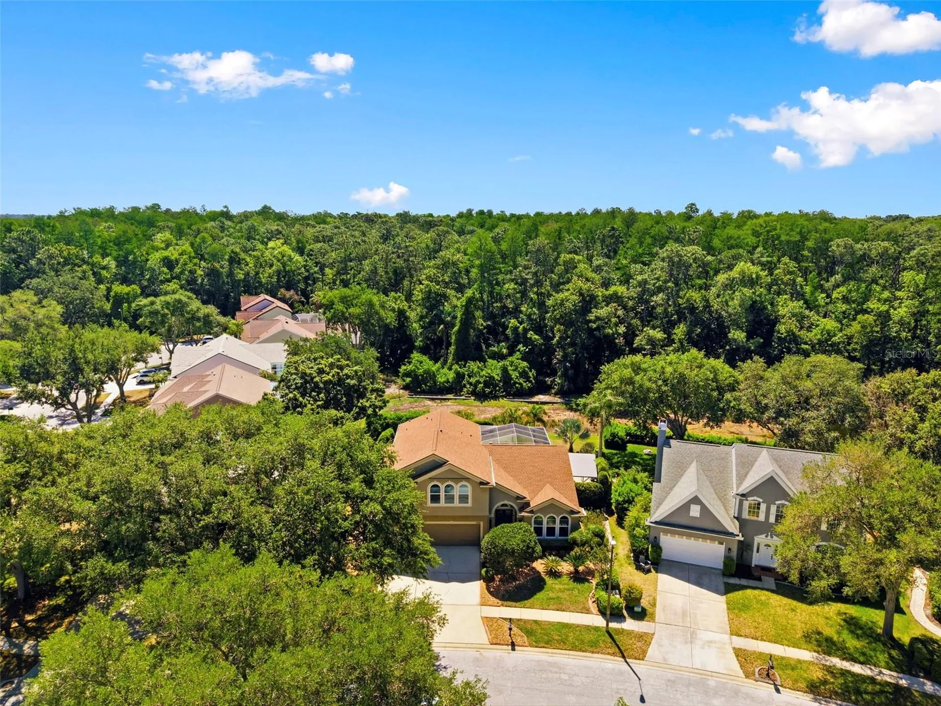 4356 Ellinwood Boulevard Palm Harbor FL 34685