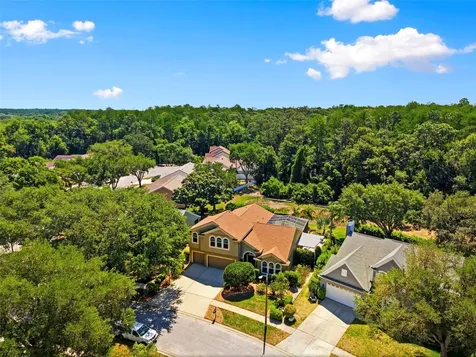 4356 Ellinwood Boulevard Palm Harbor FL 34685