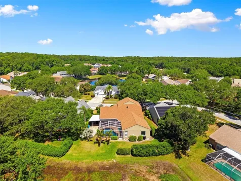 4356 Ellinwood Boulevard Palm Harbor FL 34685