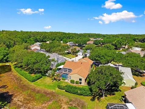 4356 Ellinwood Boulevard Palm Harbor FL 34685