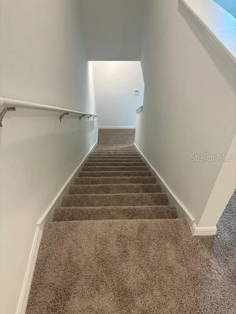 32547 Welling Blade Loop Wesley Chapel FL 33545