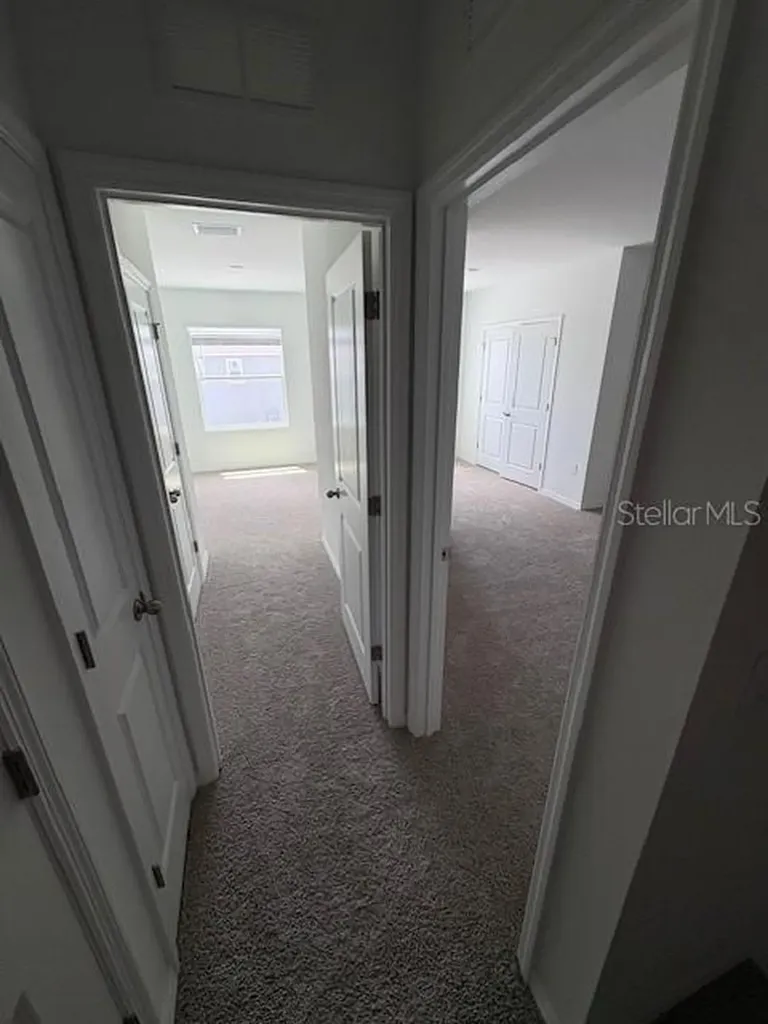 32547 Welling Blade Loop Wesley Chapel FL 33545