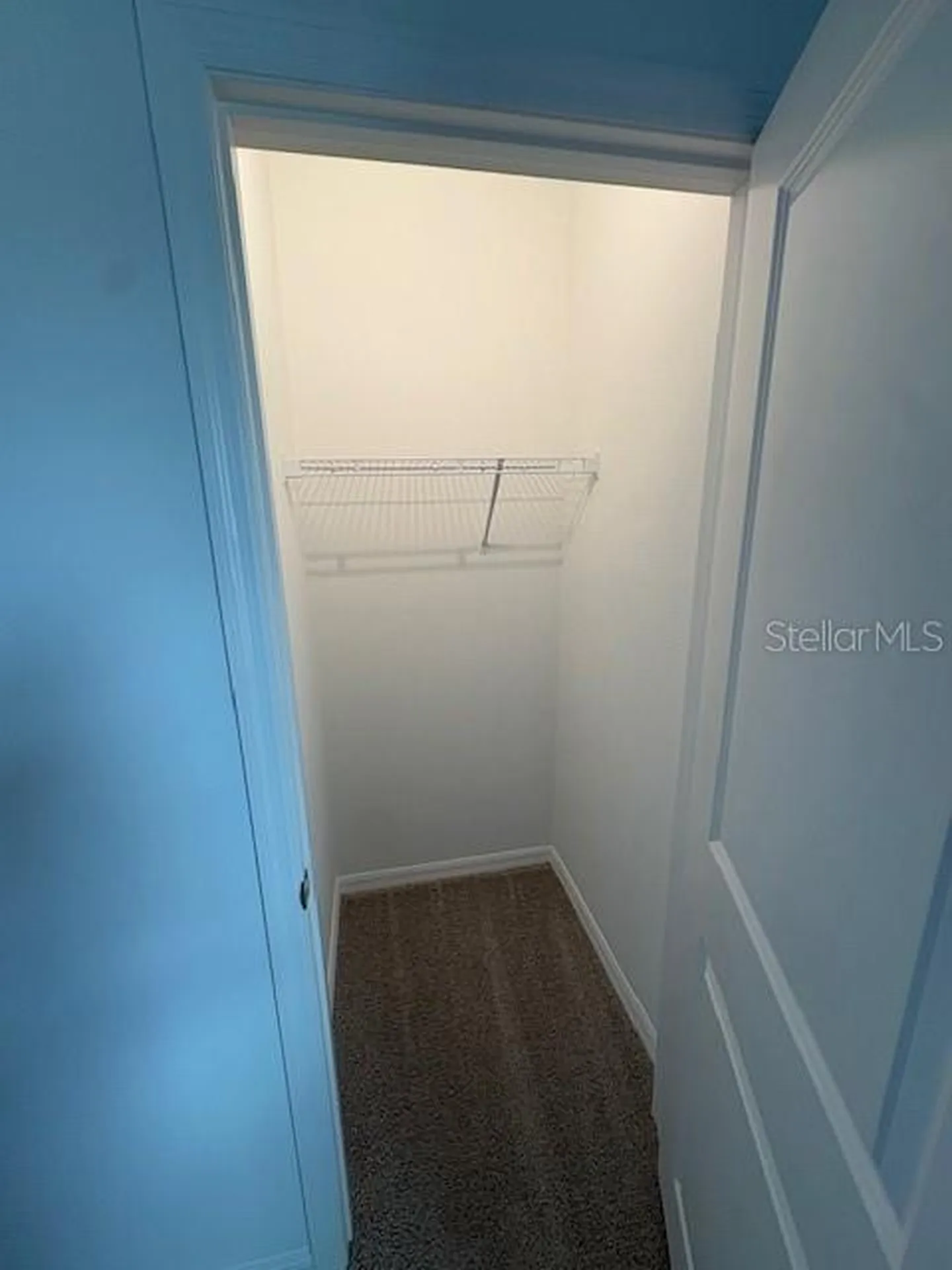 32547 Welling Blade Loop Wesley Chapel FL 33545