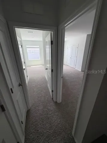 32547 Welling Blade Loop Wesley Chapel FL 33545