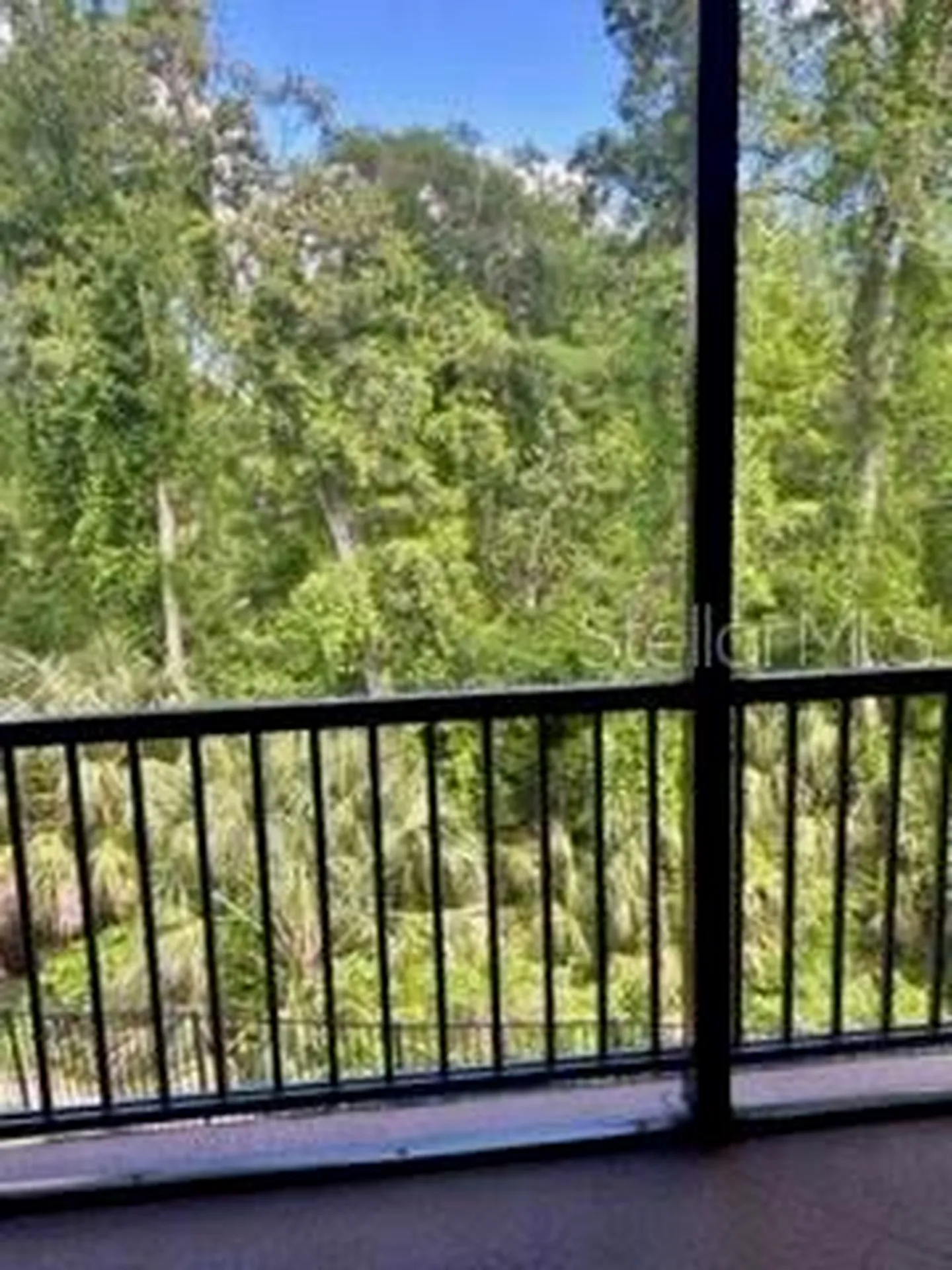 7032 River Run Boulevard Weeki Wachee FL 34607