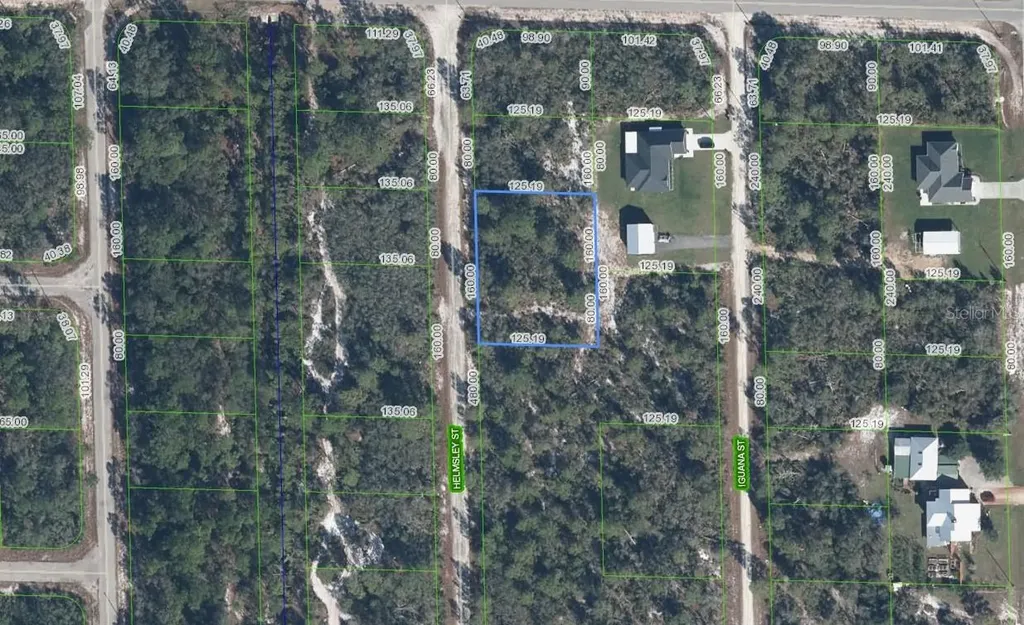 1059 Helmsley Street Lake Placid FL 33852
