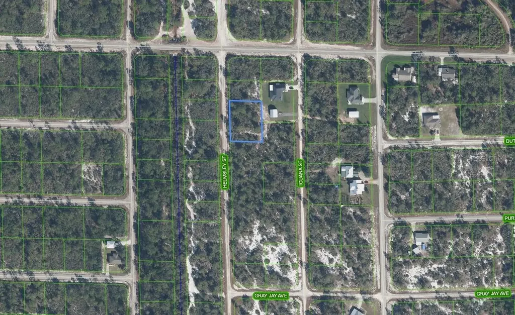 1059 Helmsley Street Lake Placid FL 33852