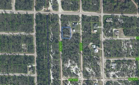 1059 Helmsley Street Lake Placid FL 33852