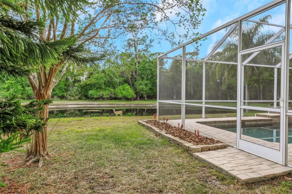 4152 Grandchamp Circle Palm Harbor FL 34685