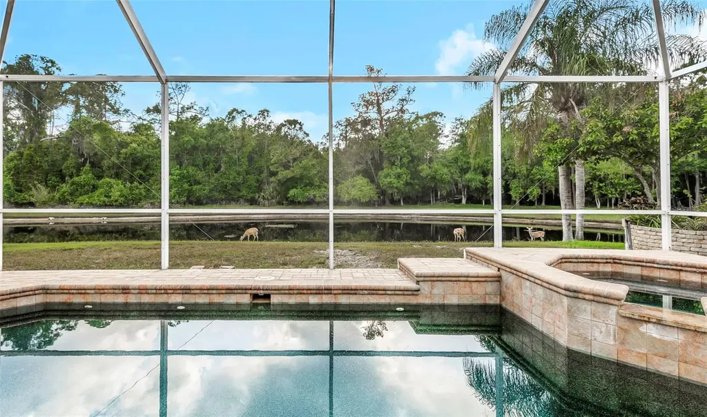 4152 Grandchamp Circle Palm Harbor FL 34685