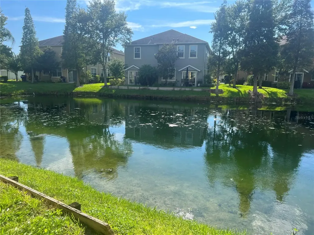 9013 Moonlit Meadows Loop Riverview FL 33578