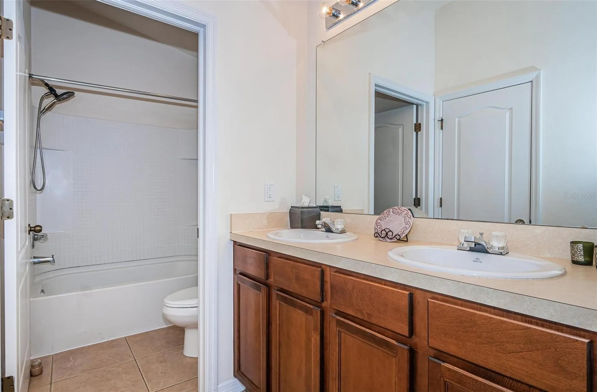 9013 Moonlit Meadows Loop Riverview FL 33578