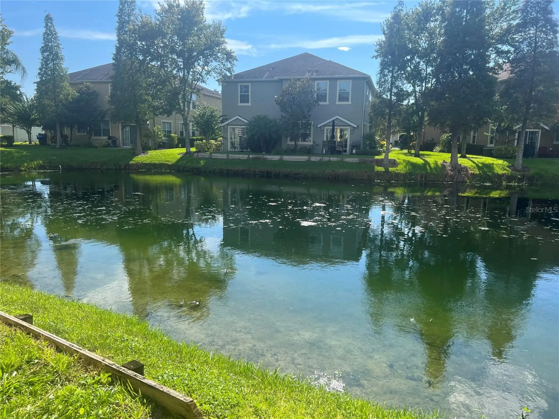 9013 Moonlit Meadows Loop Riverview FL 33578