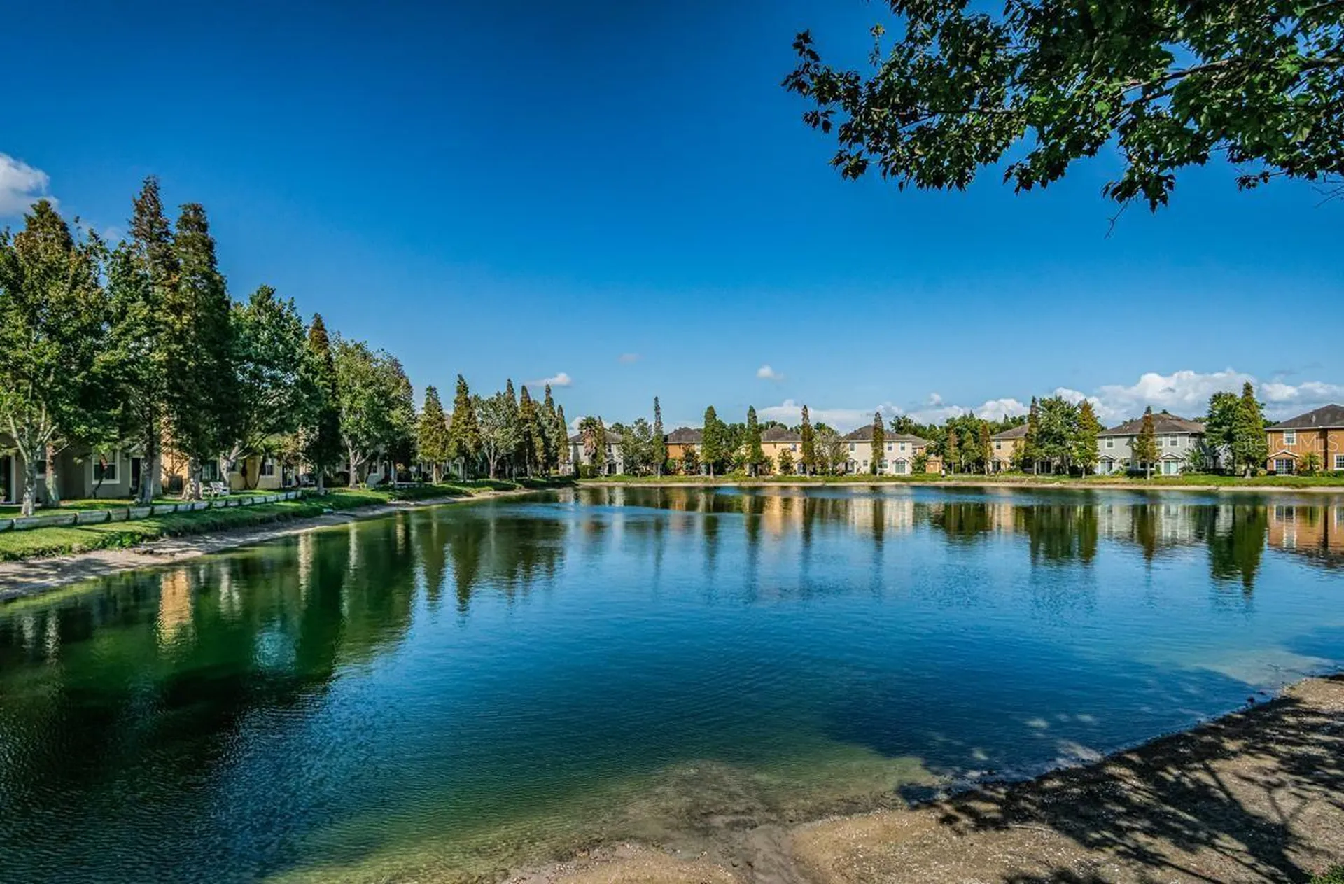 9013 Moonlit Meadows Loop Riverview FL 33578