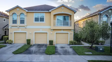 9013 Moonlit Meadows Loop Riverview FL 33578