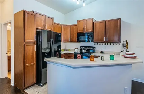 9013 Moonlit Meadows Loop Riverview FL 33578