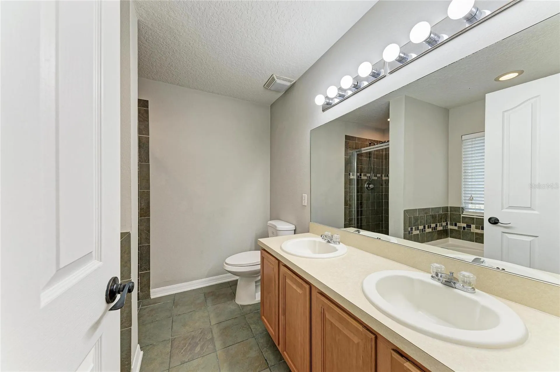 10825 Great Carlisle Court Riverview FL 33578