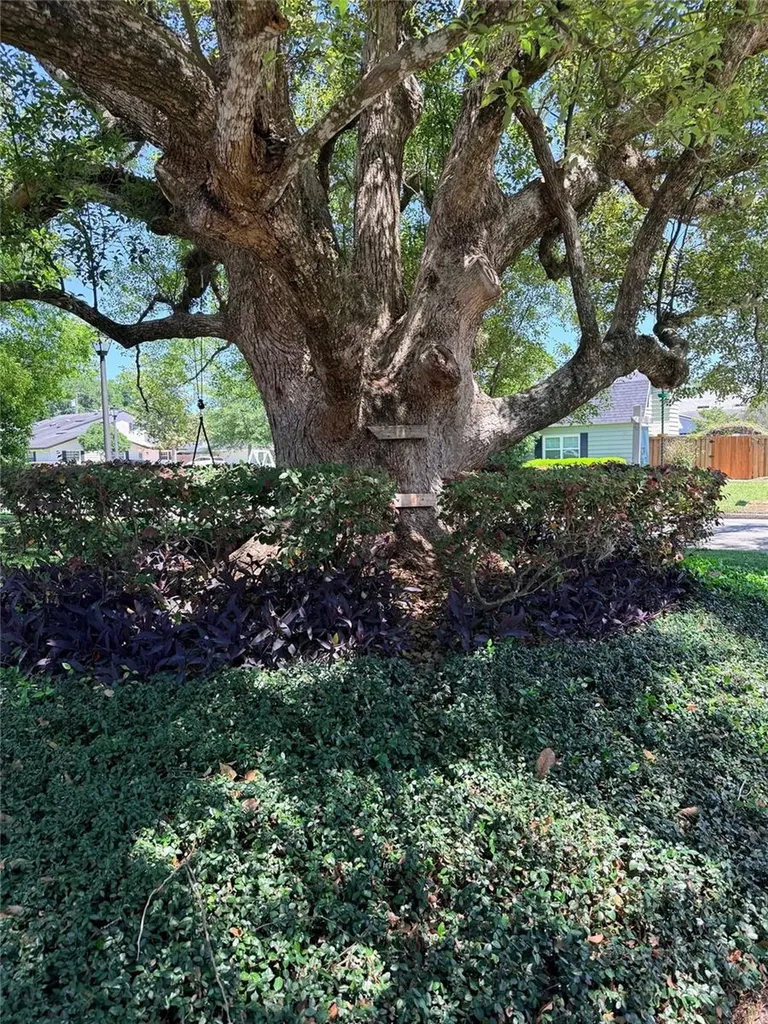 921 N Thistle Lane Maitland FL 32751