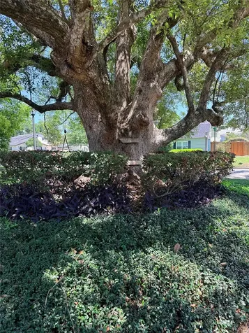 921 N Thistle Lane Maitland FL 32751
