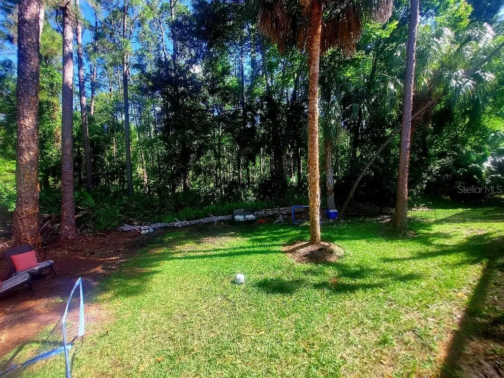 9820 Gretna Green Drive Tampa FL 33626