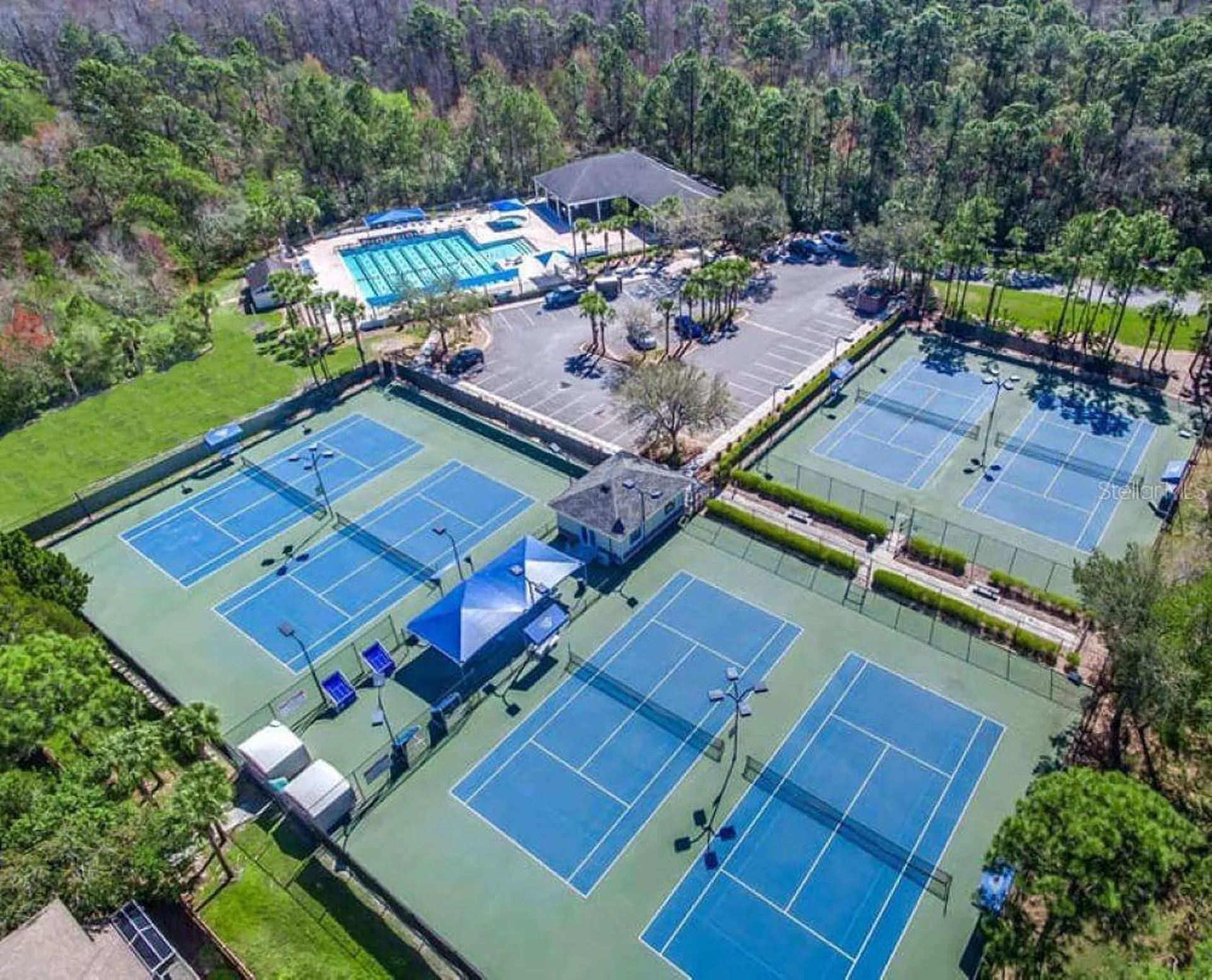 9820 Gretna Green Drive Tampa FL 33626