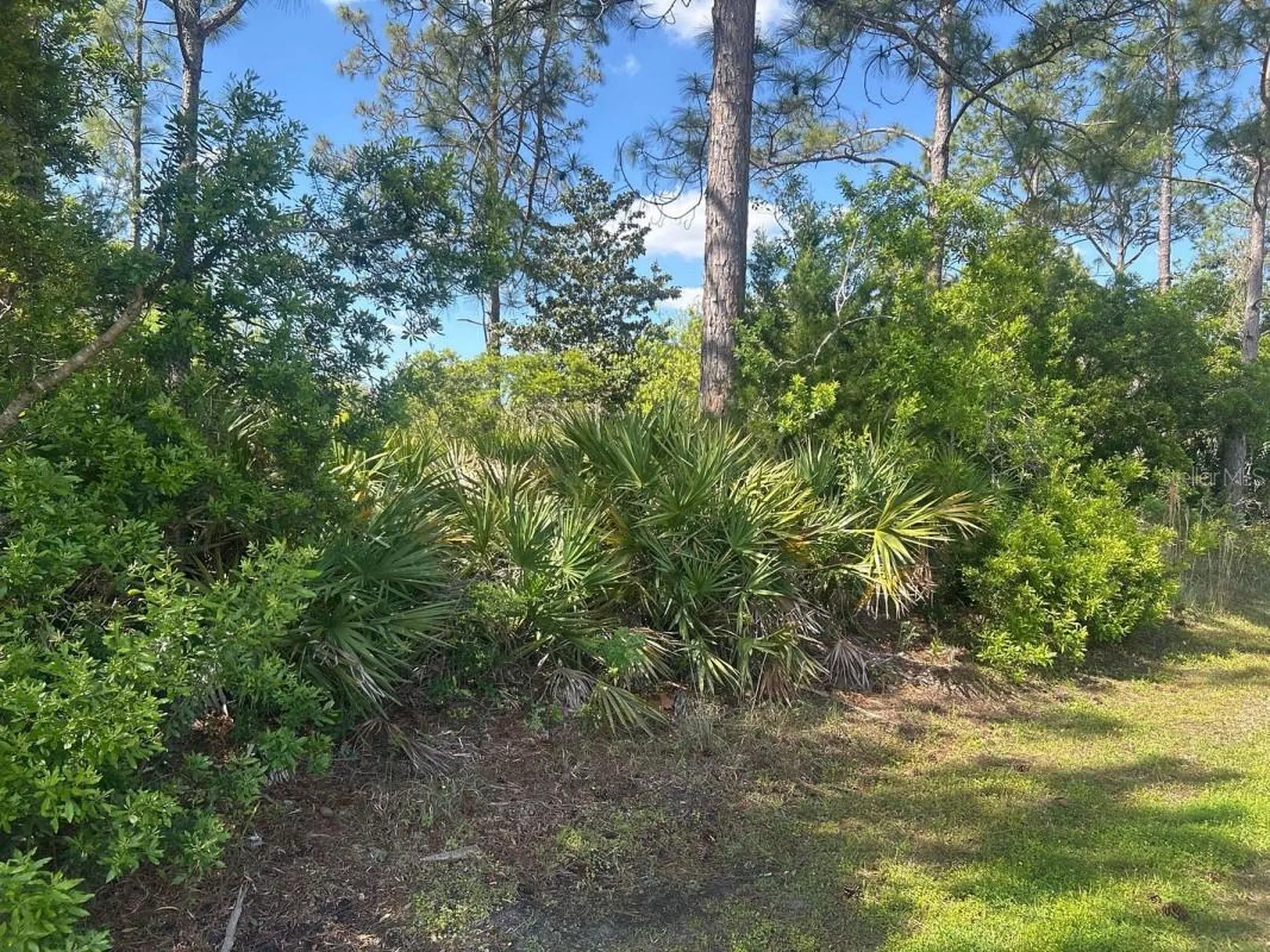 93 Prince Eric Lane Palm Coast FL 32164