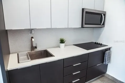 117 Calle Pomarrosa San Juan PR 00911