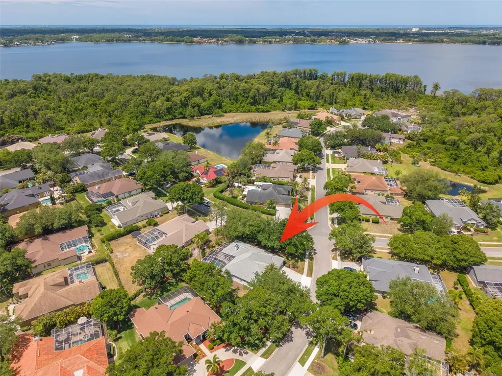 3652 Justin Drive Palm Harbor FL 34685
