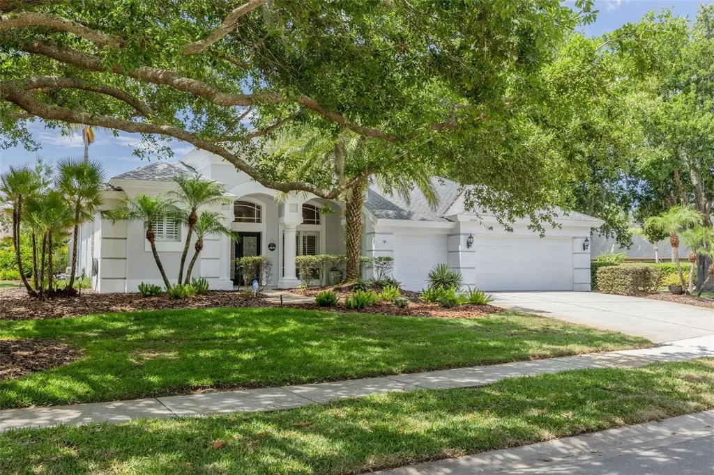 3652 Justin Drive Palm Harbor FL 34685