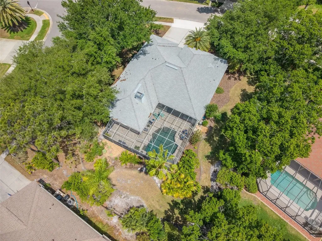 3652 Justin Drive Palm Harbor FL 34685