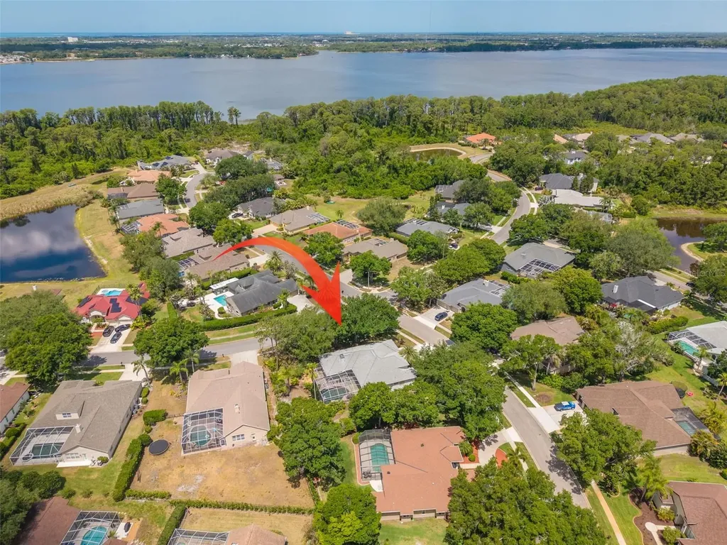 3652 Justin Drive Palm Harbor FL 34685