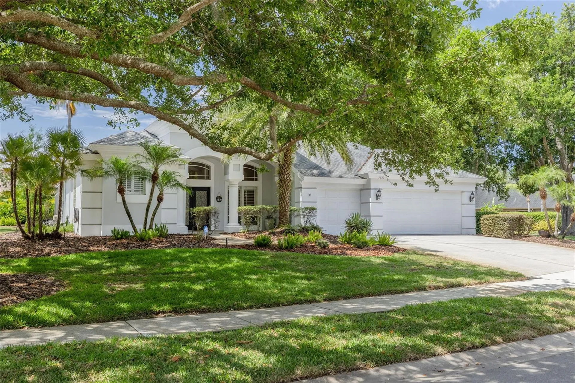 3652 Justin Drive Palm Harbor FL 34685