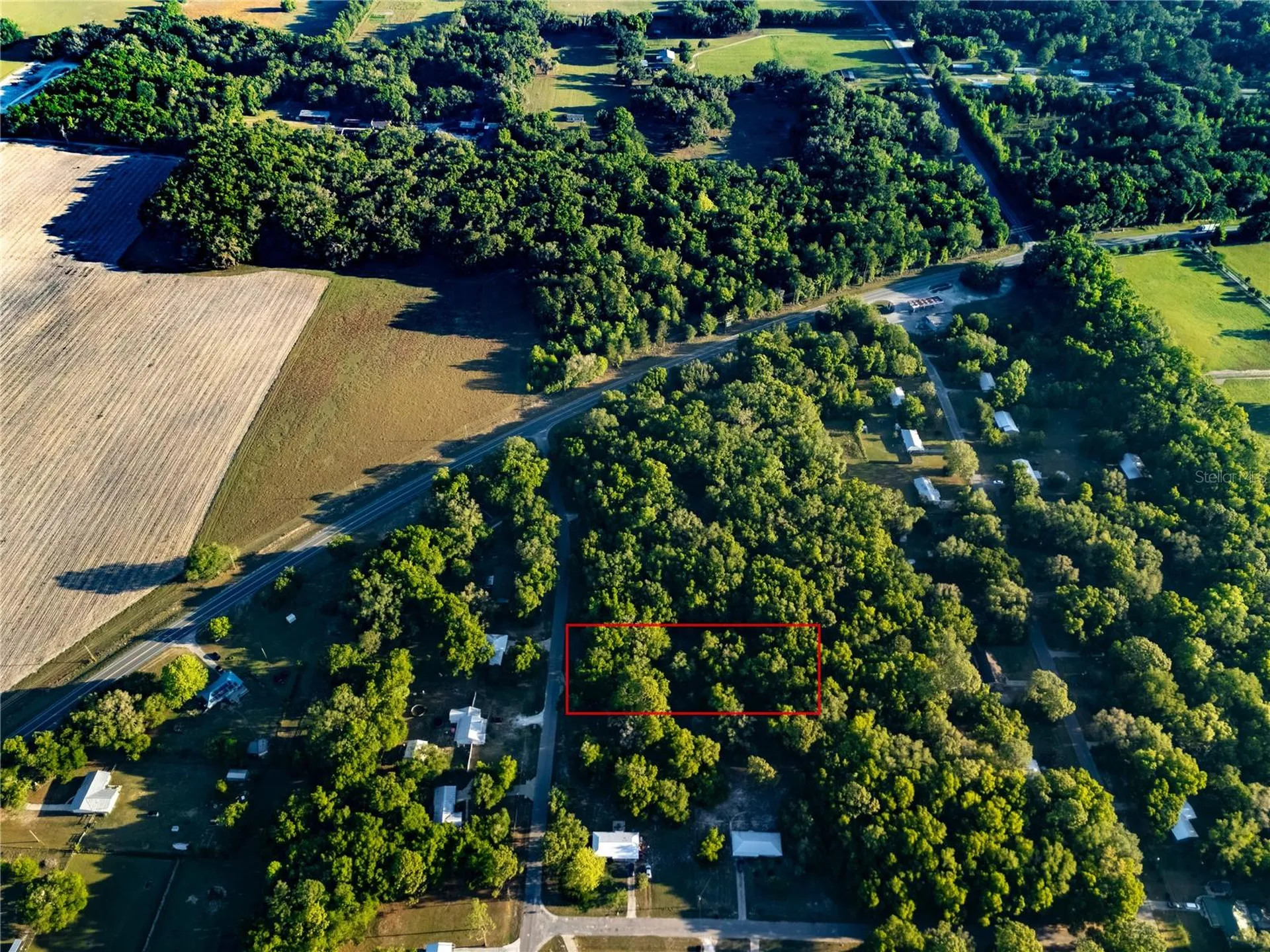 2731 NE 165th Terrace Williston FL 32696
