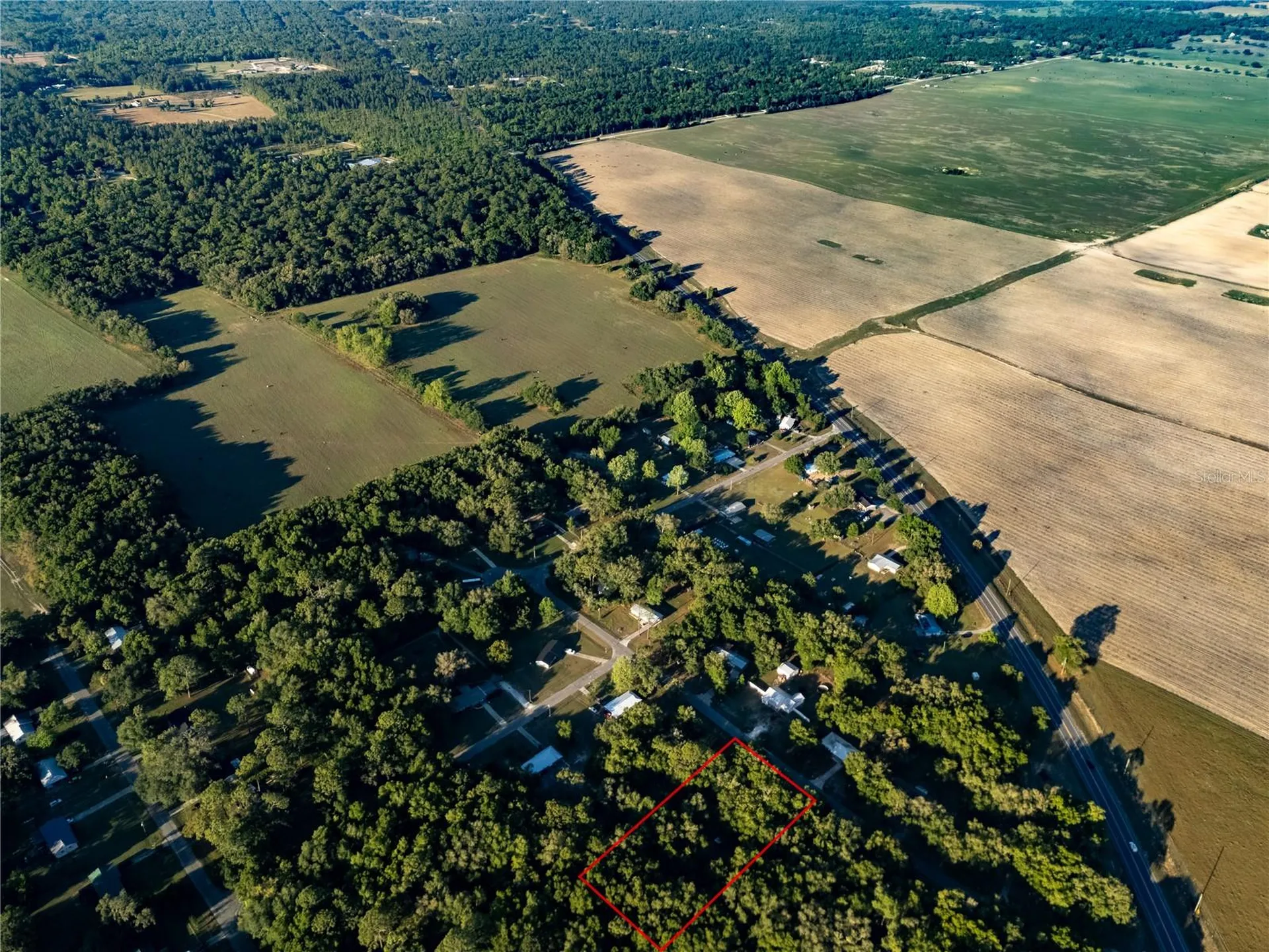 2731 NE 165th Terrace Williston FL 32696