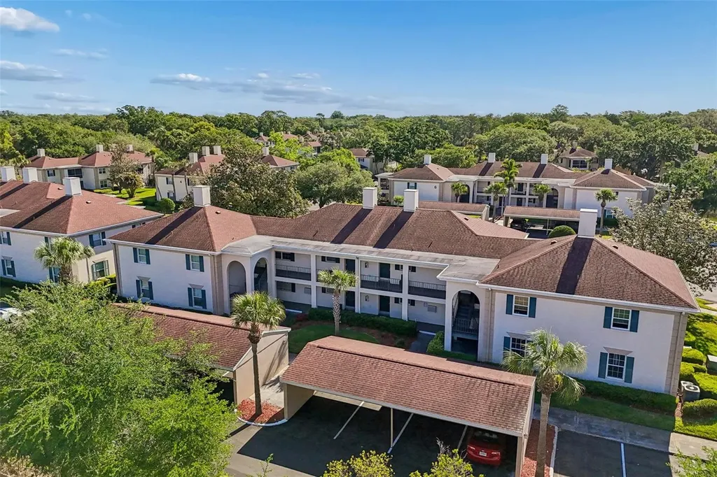 10314 Carrollwood Court Tampa FL 33618