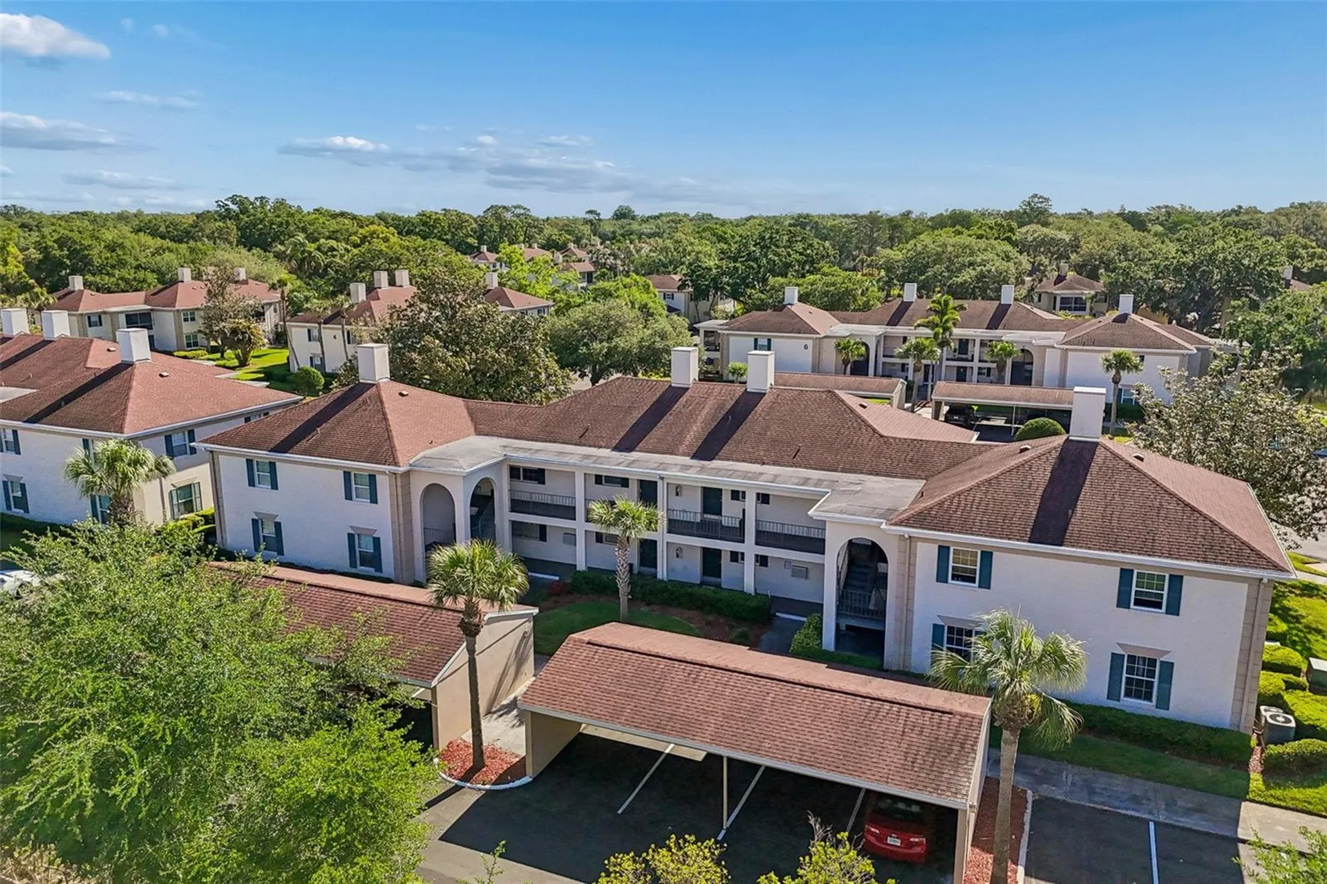 10314 Carrollwood Court Tampa FL 33618