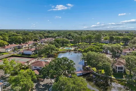 10314 Carrollwood Court Tampa FL 33618