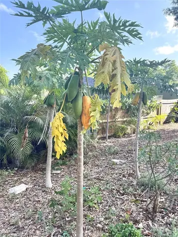 2098 Brent Place Palm Harbor FL 34683