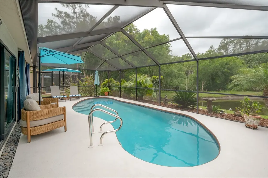 3654 Darston Street Palm Harbor FL 34685