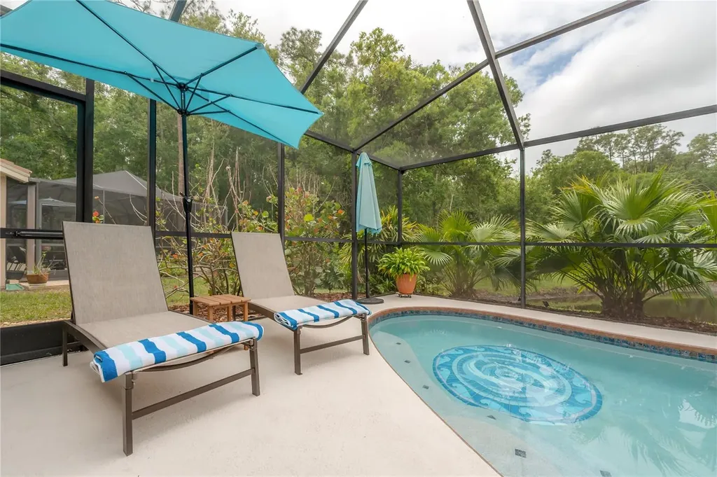 3654 Darston Street Palm Harbor FL 34685