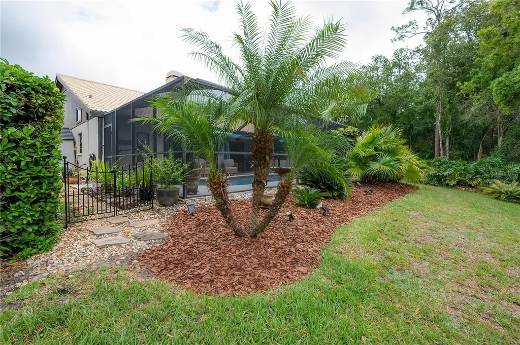 3654 Darston Street Palm Harbor FL 34685