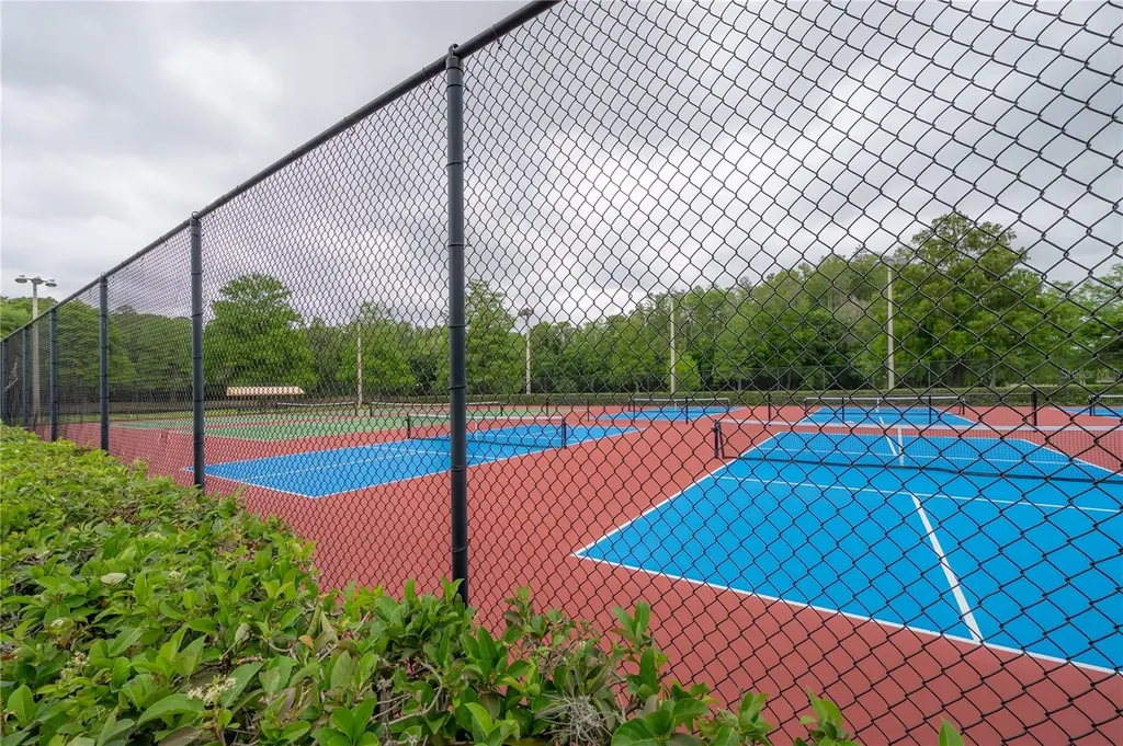 3654 Darston Street Palm Harbor FL 34685