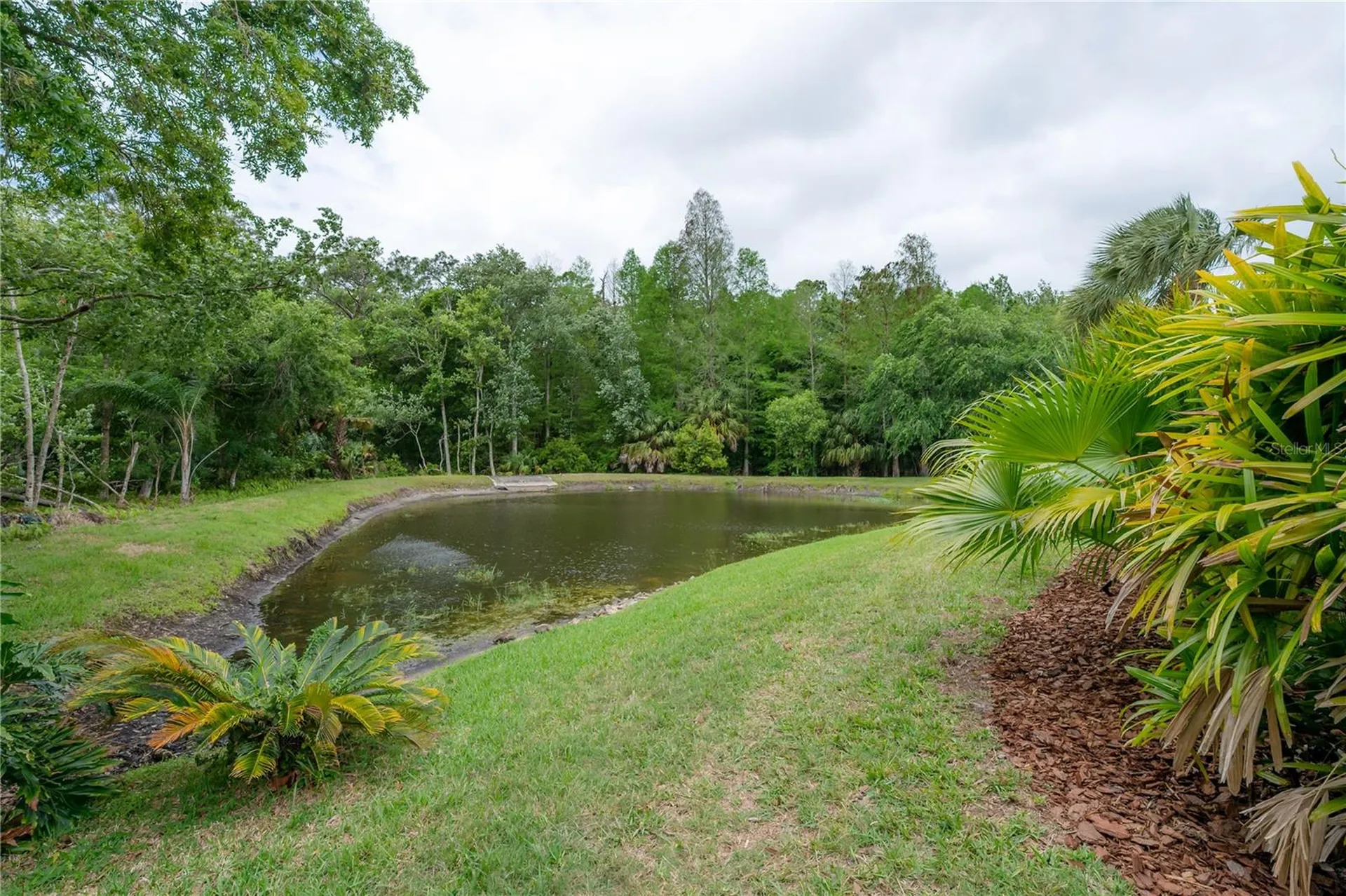 3654 Darston Street Palm Harbor FL 34685