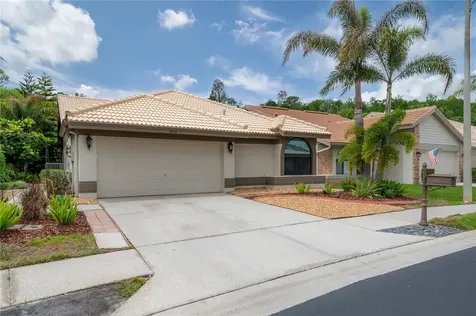 3654 Darston Street Palm Harbor FL 34685