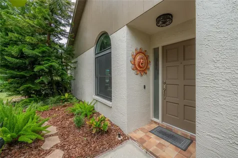 3654 Darston Street Palm Harbor FL 34685